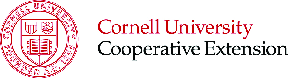 cornell extension financial literacy classes
