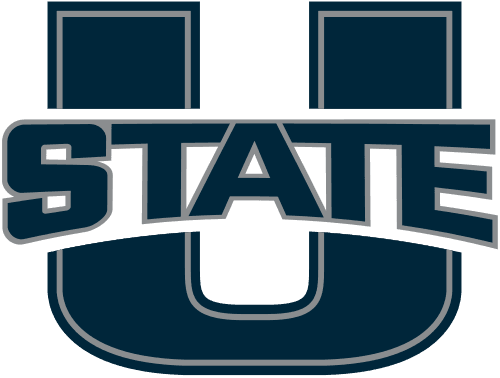 Reliability Analysis of Money Habitudes